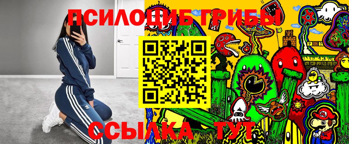 Томск  Псилоцибиновые грибы мицелий  Вход с VPN  Галлюциногенные грибы мухоморы 